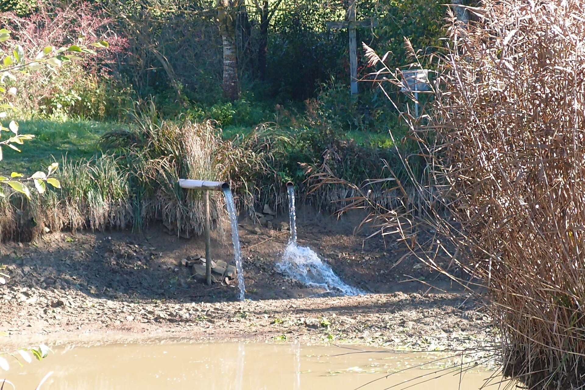 Galeriebild: PA183153